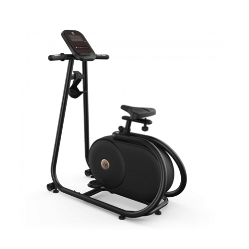Купить Велоэргометр вертикальный HORIZON Citta BT5.0