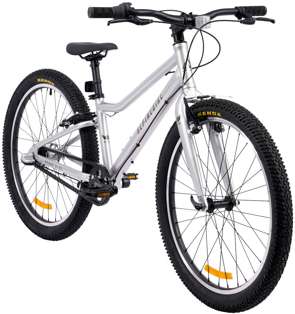Купить ALPINEBIKE Pegas 3-24 2026