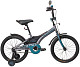 Купить BLACK Aqua Sharp 16 2021